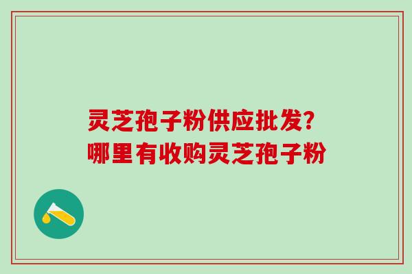 灵芝孢子粉供应批发?哪里有收购灵芝孢子粉 灵芝孢子粉供应批发?哪里有收购灵芝孢子粉