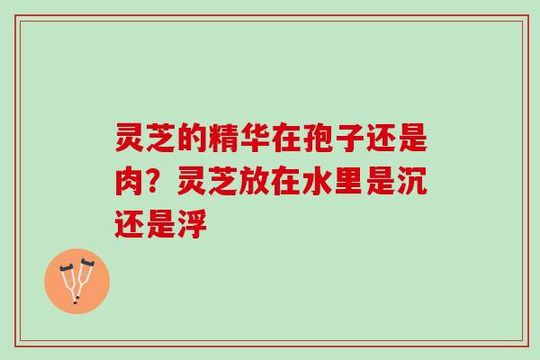 灵芝的精华在孢子还是肉？灵芝放在水里是沉还是浮