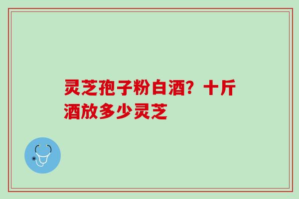 灵芝孢子粉白酒？十斤酒放多少灵芝