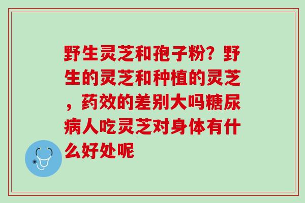 野生灵芝和孢子粉？野生的灵芝和种植的灵芝，药效的差别大吗糖尿病人吃灵芝对身体有什么好处呢