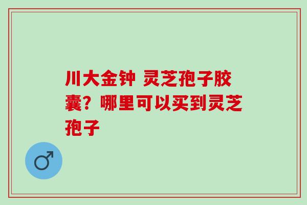川大金钟 灵芝孢子胶囊？哪里可以买到灵芝孢子