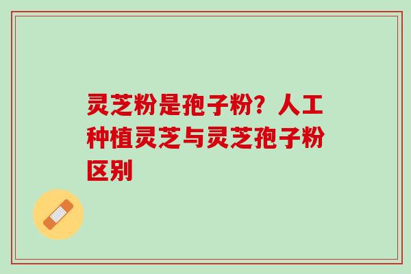 灵芝粉是孢子粉？人工种植灵芝与灵芝孢子粉区别