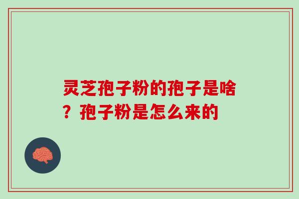 灵芝孢子粉的孢子是啥?孢子粉是怎么来的 灵芝孢子粉的孢子是啥?孢子粉是怎么来的