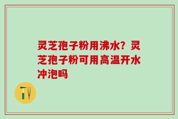 灵芝孢子粉用沸水?灵芝孢子粉可用高温开水冲泡吗 灵芝孢子粉用沸水?灵芝孢子粉可用高温开水冲泡吗