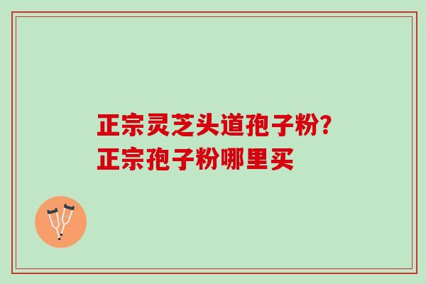 正宗灵芝头道孢子粉？正宗孢子粉哪里买