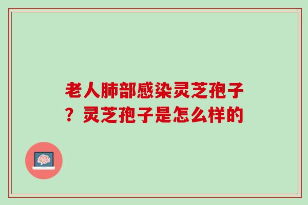 老人部灵芝孢子?灵芝孢子是怎么样的 老人部灵芝孢子?灵芝孢子是怎么样的