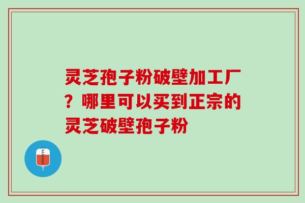 灵芝孢子粉破壁加工厂？哪里可以买到正宗的灵芝破壁孢子粉