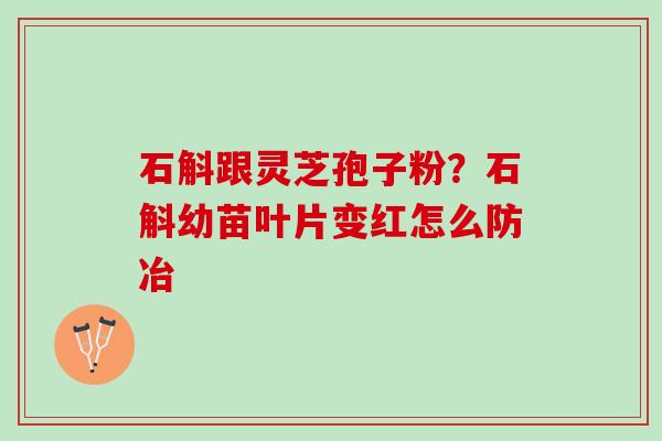 石斛跟灵芝孢子粉?石斛幼苗叶片变红怎么防冶 石斛跟灵芝孢子粉?石斛幼苗叶片变红怎么防冶
