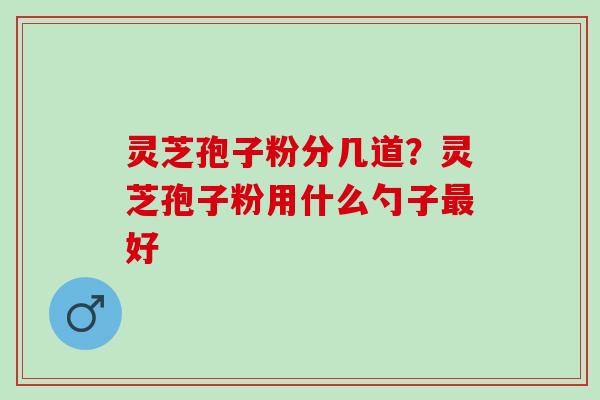 灵芝孢子粉分几道？灵芝孢子粉用什么勺子最好