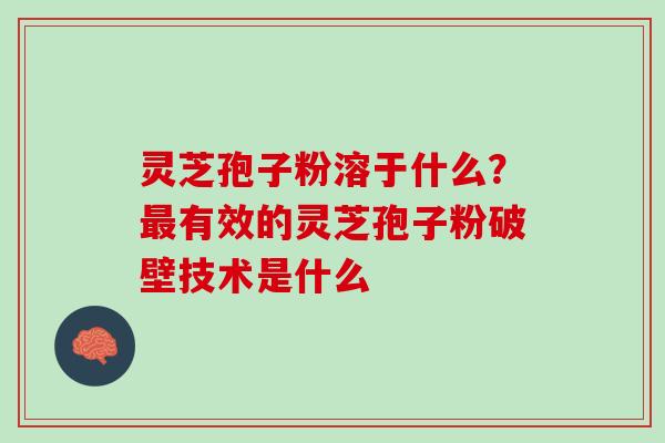 灵芝孢子粉溶于什么？最有效的灵芝孢子粉破壁技术是什么