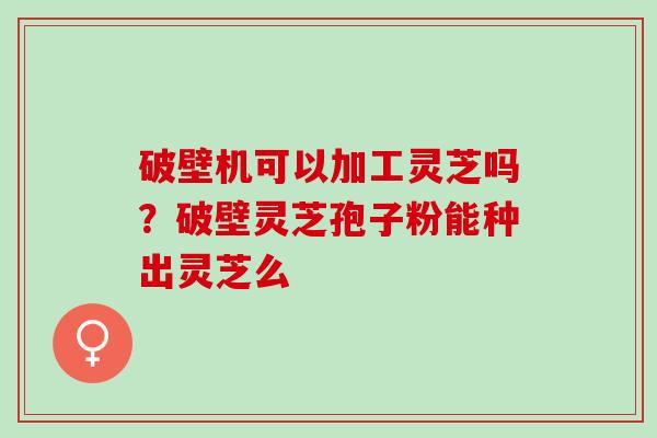破壁机可以加工灵芝吗？破壁灵芝孢子粉能种出灵芝么
