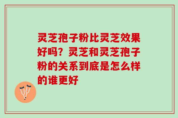 灵芝孢子粉比灵芝效果好吗?灵芝和灵芝孢子粉的关系到底是怎么样的谁更好 灵芝孢子粉比灵芝效果好吗?灵芝和灵芝孢子粉的关系到底是怎么样的谁更好