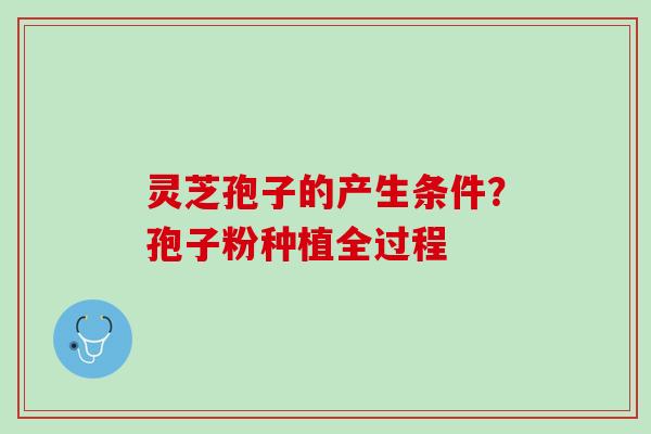 灵芝孢子的产生条件？孢子粉种植全过程