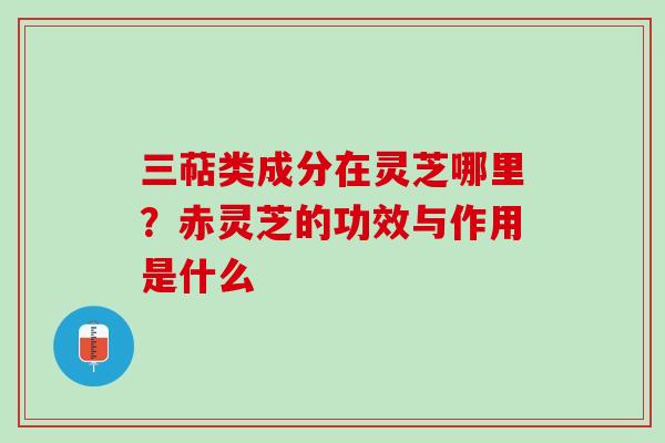 三萜类成分在灵芝哪里？赤灵芝的功效与作用是什么