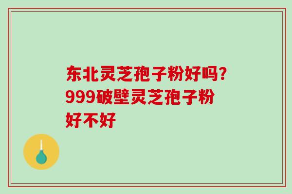 东北灵芝孢子粉好吗？999破壁灵芝孢子粉好不好