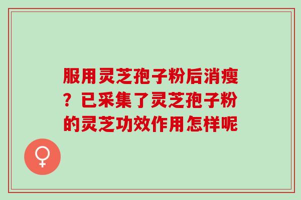 服用灵芝孢子粉后消瘦？已采集了灵芝孢子粉的灵芝功效作用怎样呢