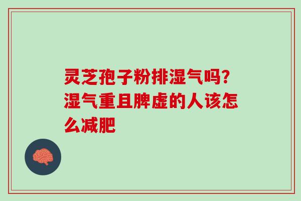 灵芝孢子粉排湿气吗?湿气重且脾虚的人该怎么 灵芝孢子粉排湿气吗?湿气重且脾虚的人该怎么