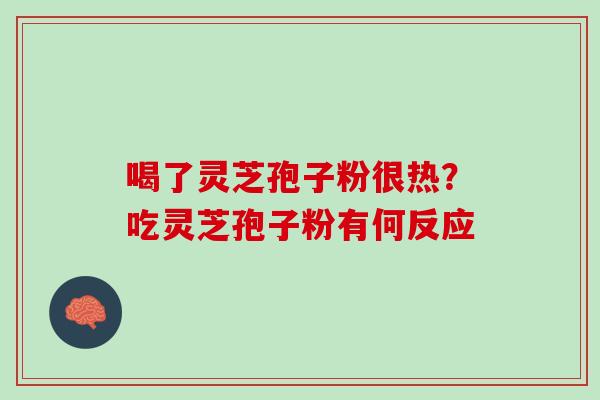 喝了灵芝孢子粉很热？吃灵芝孢子粉有何反应