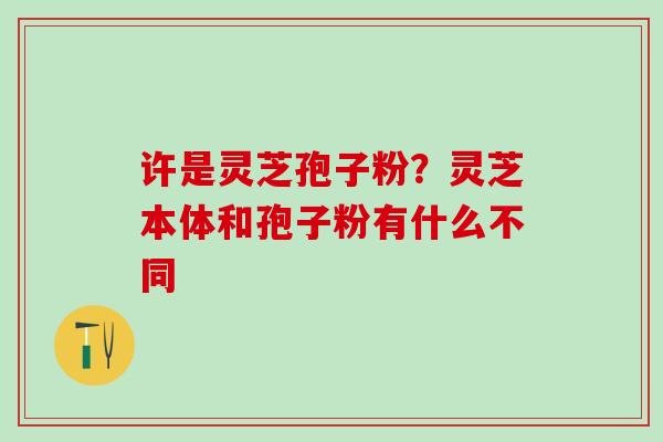 许是灵芝孢子粉？灵芝本体和孢子粉有什么不同