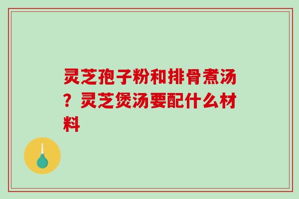 灵芝孢子粉和排骨煮汤？灵芝煲汤要配什么材料