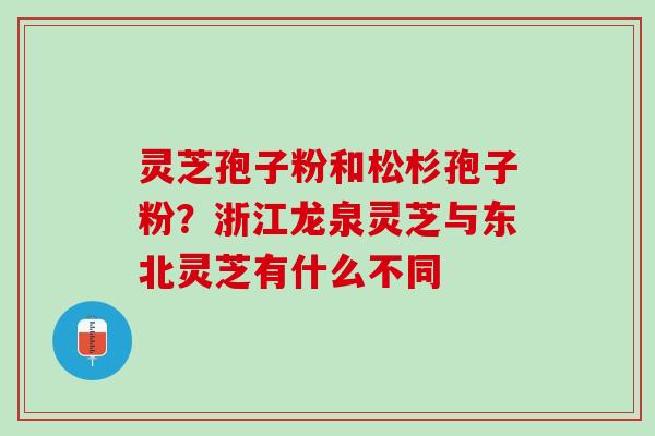 灵芝孢子粉和松杉孢子粉?浙江龙泉灵芝与东北灵芝有什么不同 灵芝孢子粉和松杉孢子粉?浙江龙泉灵芝与东北灵芝有什么不同