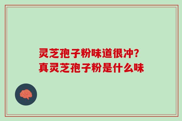 灵芝孢子粉味道很冲？真灵芝孢子粉是什么味