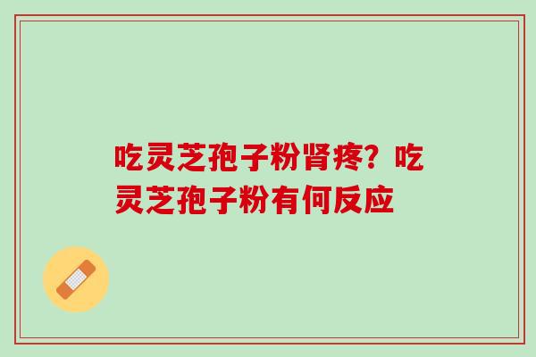 吃灵芝孢子粉肾疼？吃灵芝孢子粉有何反应