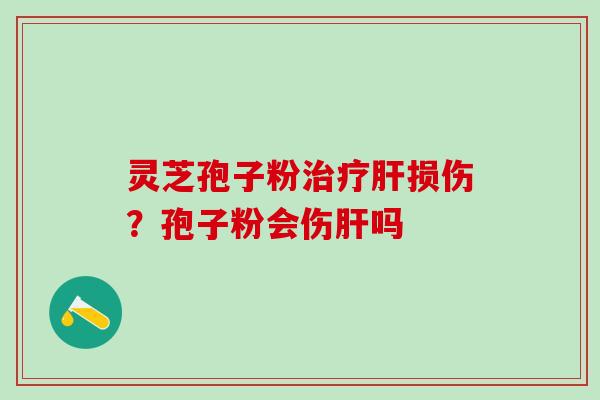 灵芝孢子粉治疗肝损伤？孢子粉会伤肝吗