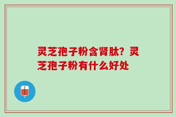 灵芝孢子粉含肾肽？灵芝孢子粉有什么好处
