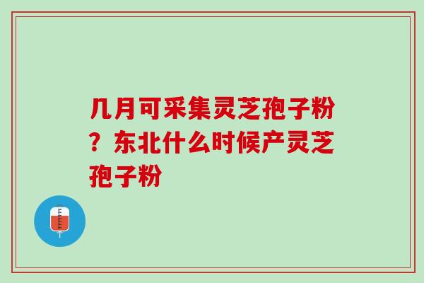 几月可采集灵芝孢子粉？东北什么时候产灵芝孢子粉