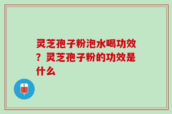 灵芝孢子粉泡水喝功效？灵芝孢子粉的功效是什么