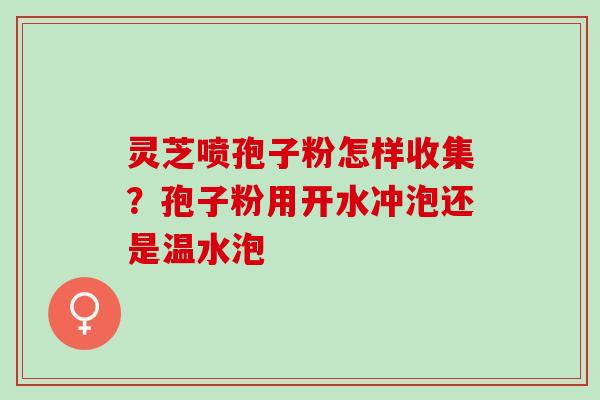 灵芝喷孢子粉怎样收集？孢子粉用开水冲泡还是温水泡