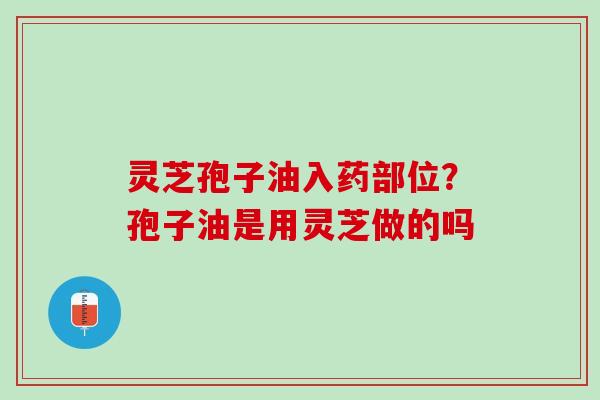 灵芝孢子油入药部位？孢子油是用灵芝做的吗