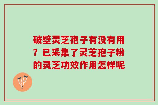破壁灵芝孢子有没有用？已采集了灵芝孢子粉的灵芝功效作用怎样呢