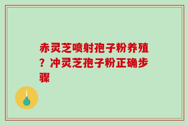 赤灵芝喷射孢子粉养殖？冲灵芝孢子粉正确步骤