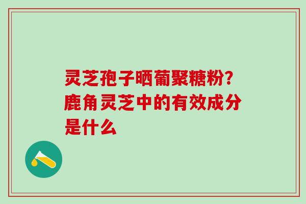 灵芝孢子晒葡聚糖粉?鹿角灵芝中的有效成分是什么 灵芝孢子晒葡聚糖粉?鹿角灵芝中的有效成分是什么