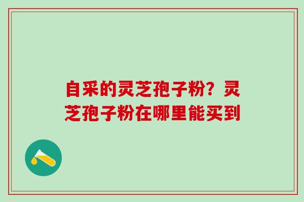 自采的灵芝孢子粉？灵芝孢子粉在哪里能买到
