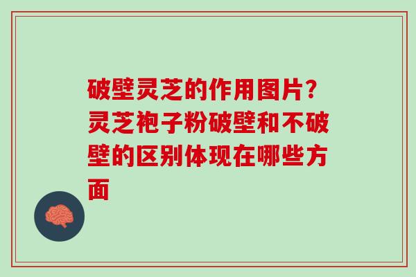 破壁灵芝的作用图片?灵芝袍子粉破壁和不破壁的区别体现在哪些方面 破壁灵芝的作用图片?灵芝袍子粉破壁和不破壁的区别体现在哪些方面