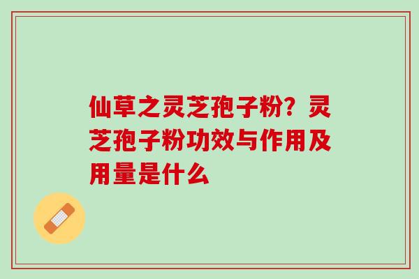 仙草之灵芝孢子粉?灵芝孢子粉功效与作用及用量是什么 仙草之灵芝孢子粉?灵芝孢子粉功效与作用及用量是什么