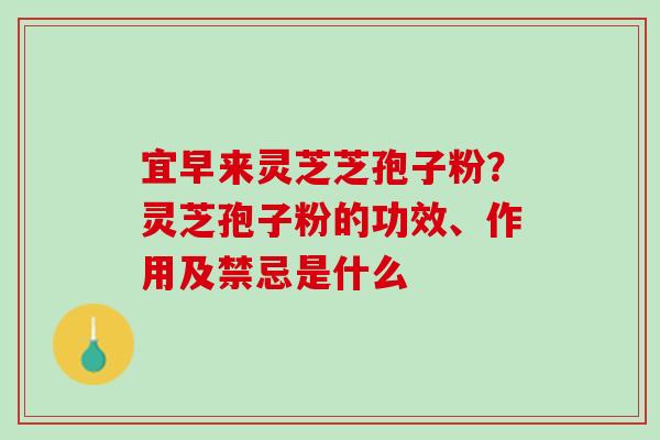 宜早来灵芝芝孢子粉？灵芝孢子粉的功效、作用及禁忌是什么