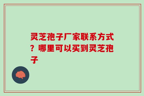 灵芝孢子厂家联系方式?哪里可以买到灵芝孢子 灵芝孢子厂家联系方式?哪里可以买到灵芝孢子