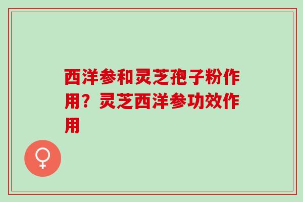 西洋参和灵芝孢子粉作用？灵芝西洋参功效作用