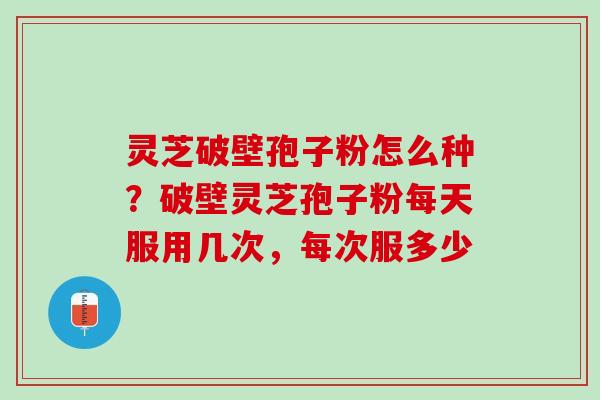灵芝破壁孢子粉怎么种？破壁灵芝孢子粉每天服用几次，每次服多少