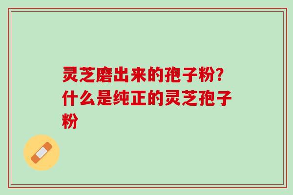 灵芝磨出来的孢子粉？什么是纯正的灵芝孢子粉