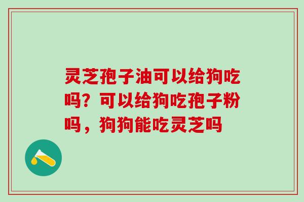 灵芝孢子油可以给狗吃吗？可以给狗吃孢子粉吗，狗狗能吃灵芝吗