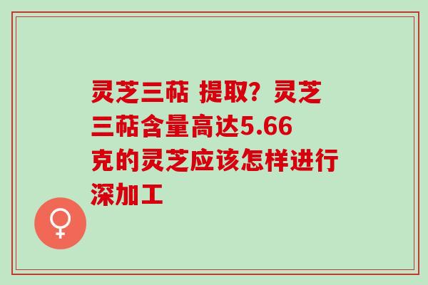 灵芝三萜 提取？灵芝三萜含量高达5.66克的灵芝应该怎样进行深加工