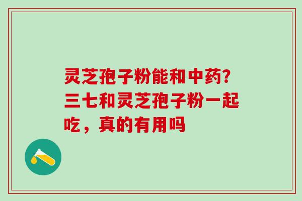 灵芝孢子粉能和中药？三七和灵芝孢子粉一起吃，真的有用吗