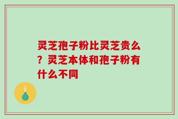 灵芝孢子粉比灵芝贵么？灵芝本体和孢子粉有什么不同