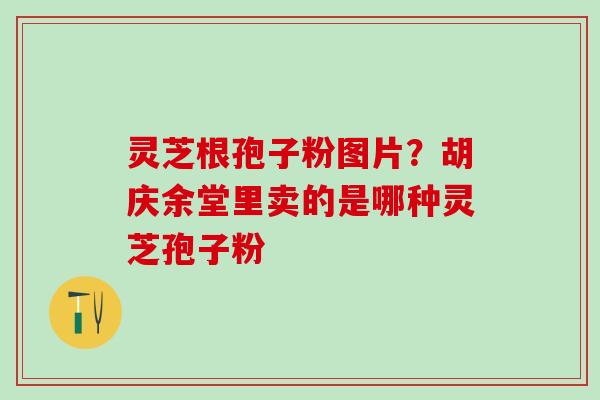 灵芝根孢子粉图片？胡庆余堂里卖的是哪种灵芝孢子粉