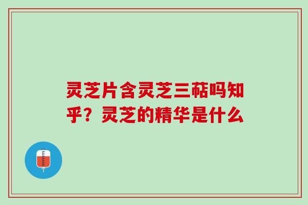 灵芝片含灵芝三萜吗知乎？灵芝的精华是什么